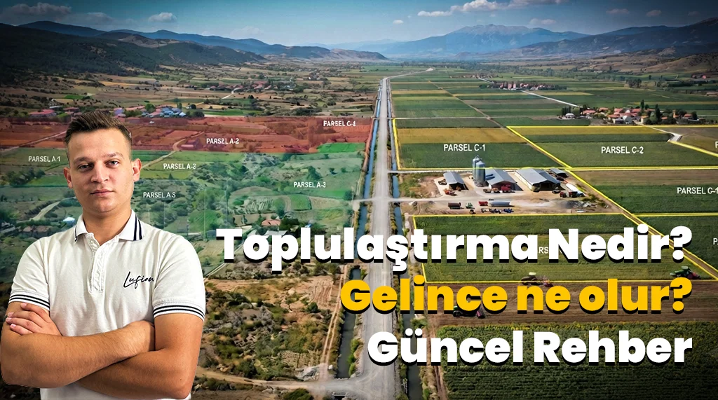 Toplulaştırma Ne Demek? Toplulaştırma Gelince Ne Olur?